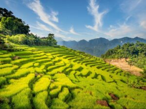 Northern Vietnam: 7-Day Luxury Leisure & Eco-Retreat
