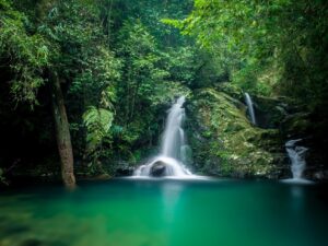 The Imperial Wilderness: 3-Day Bach Ma Heritage & Waterfall Challenge